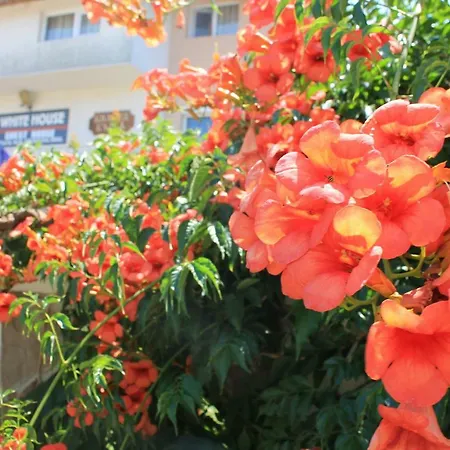 招待所 白屋度假村 Bliznatsi