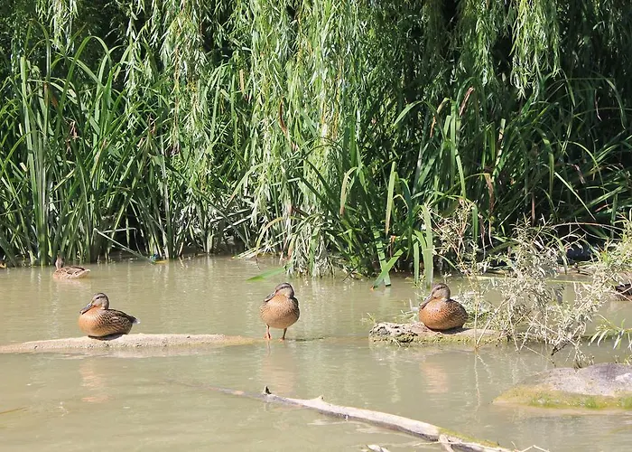The White House Casa de hóspedes Bliznatsi