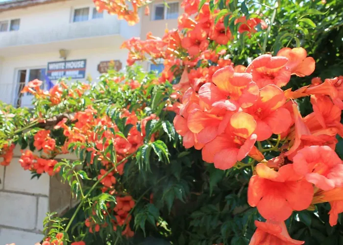 Casa de hóspedes The White House Bliznatsi